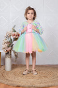 Childbird Multicolor Net Kids Frock Dress With Jacket